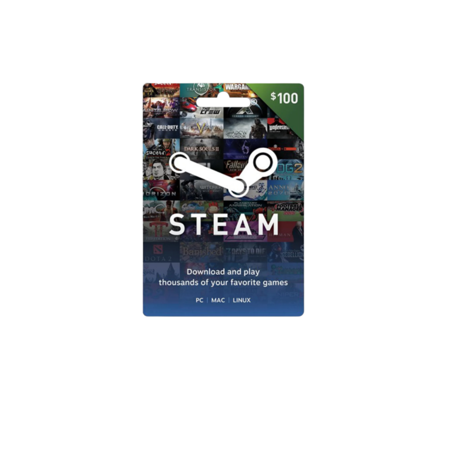 Steam Gift Card